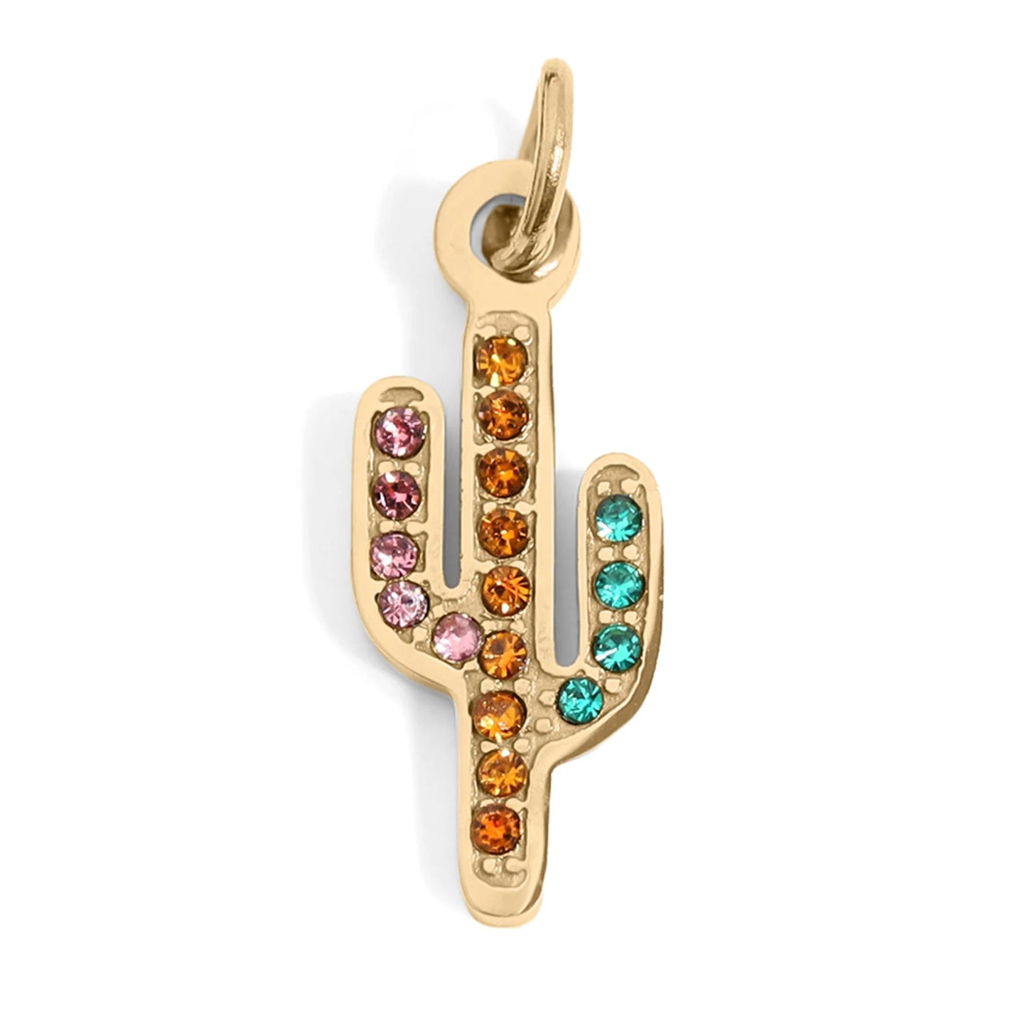 Cactus Charm