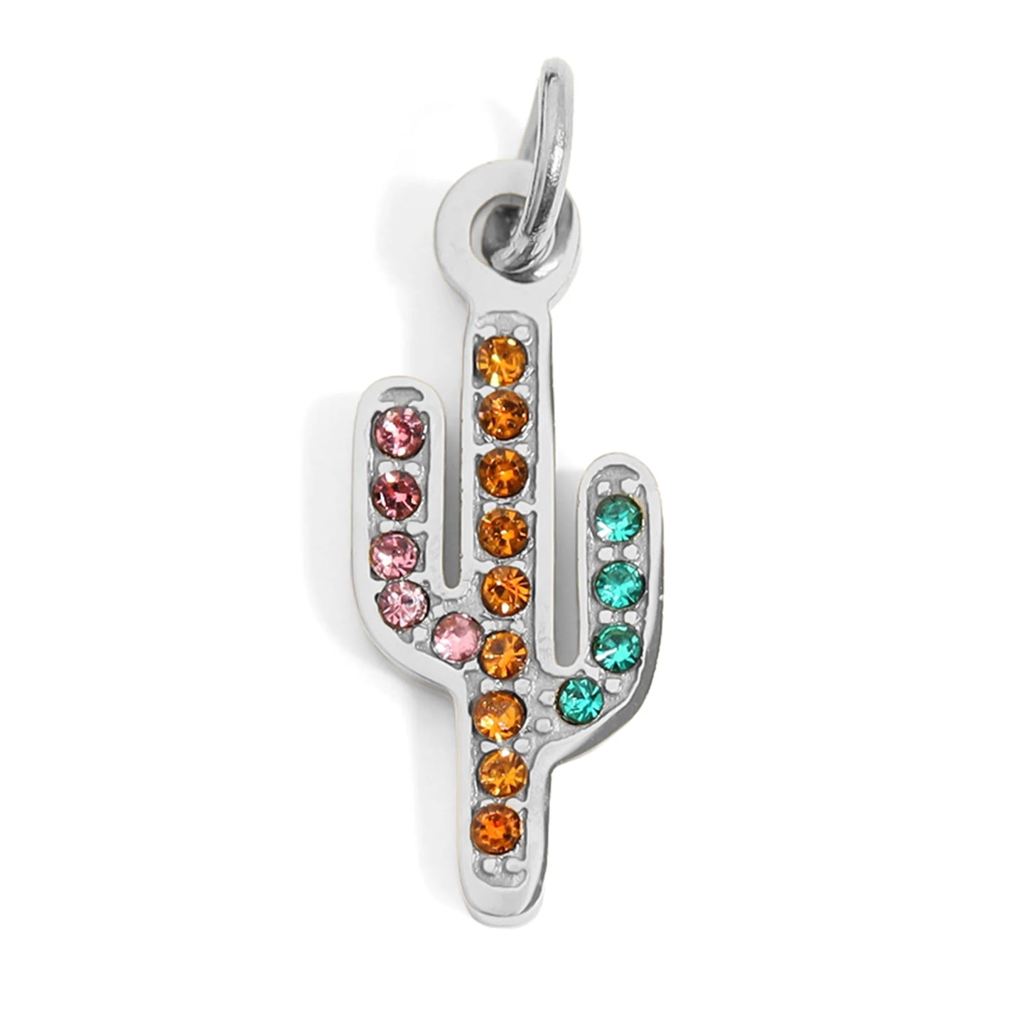 Cactus Charm