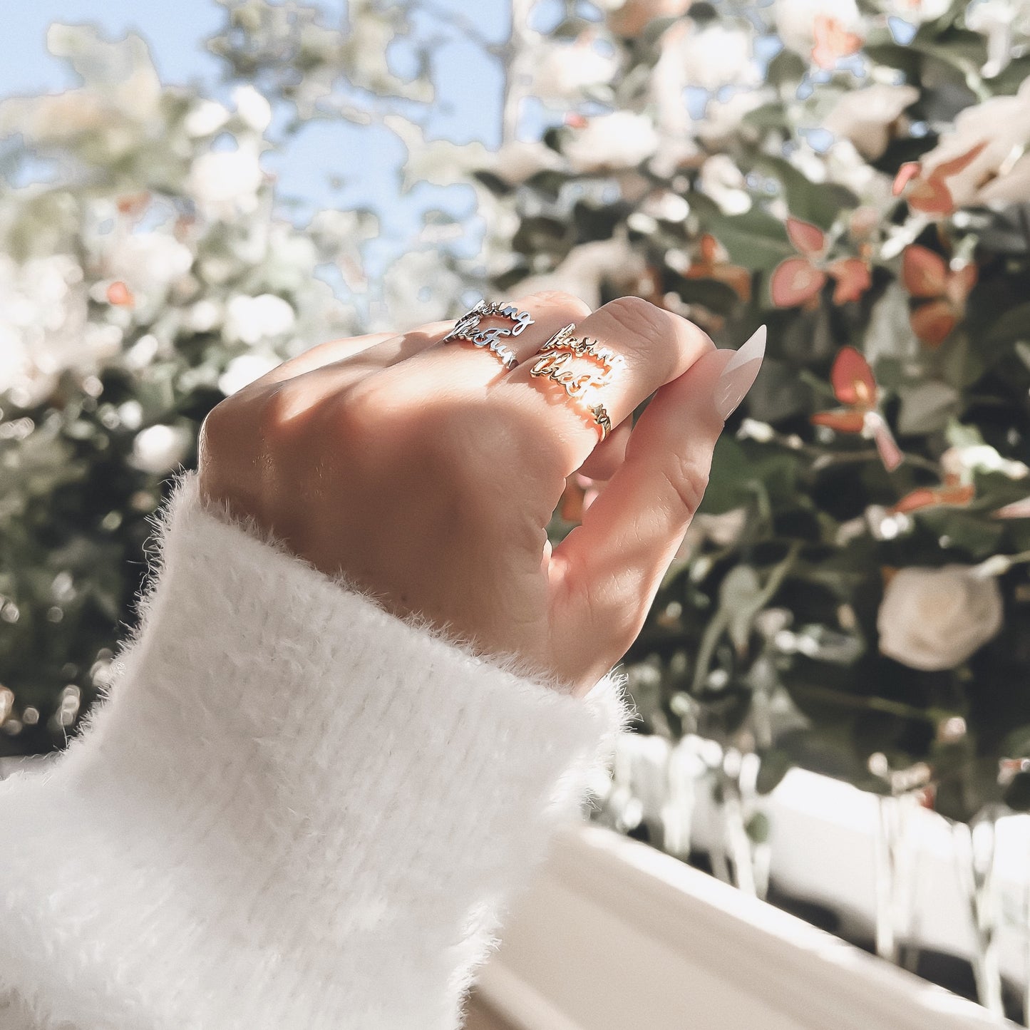 Chasing the Fun Ring