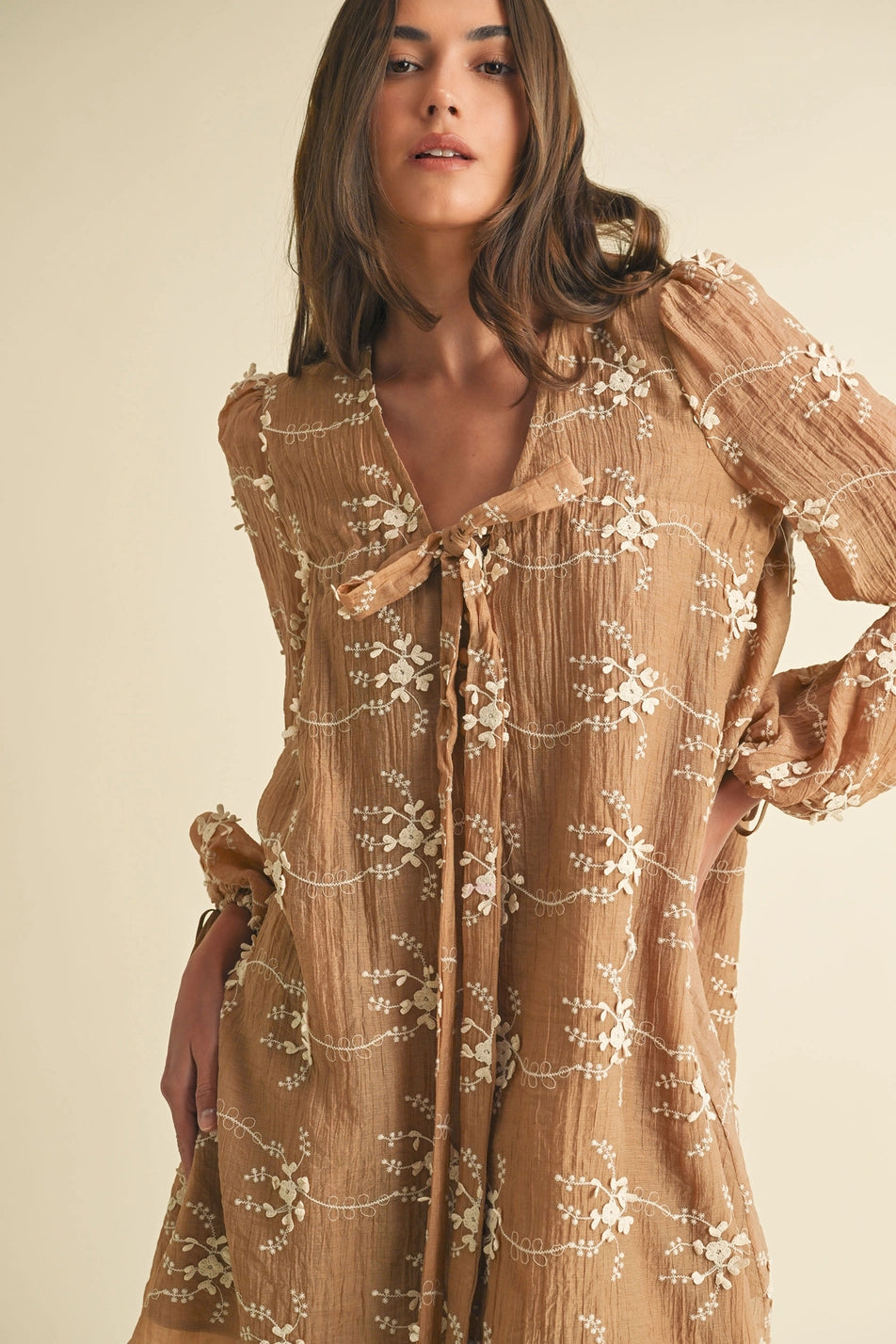 Sheer Floral Mini Dress